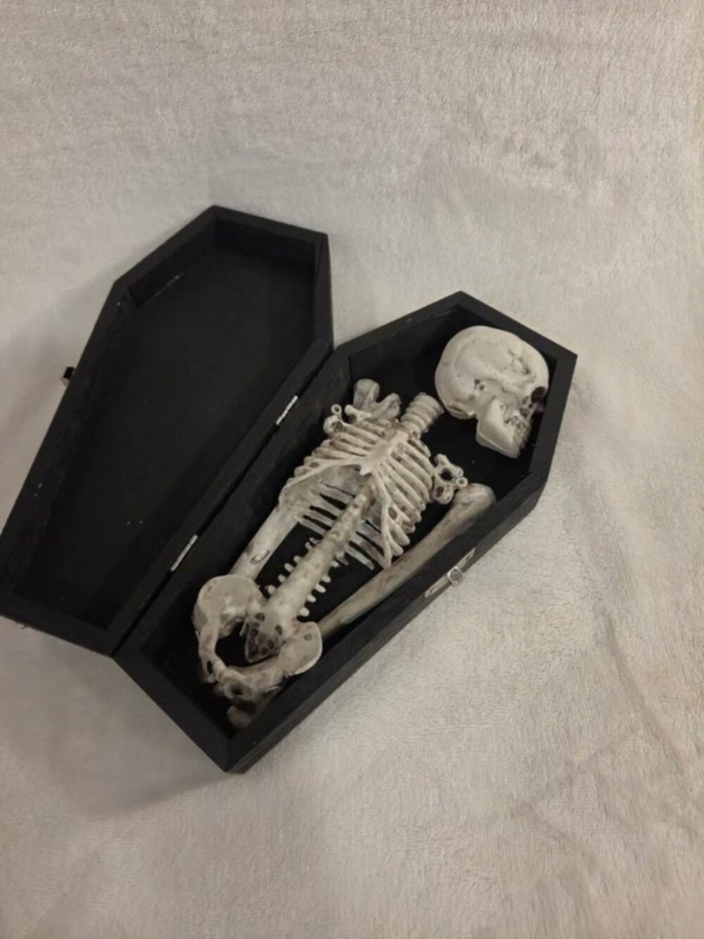Gothic Wooden Coffin with Skeleton Halloween Decor